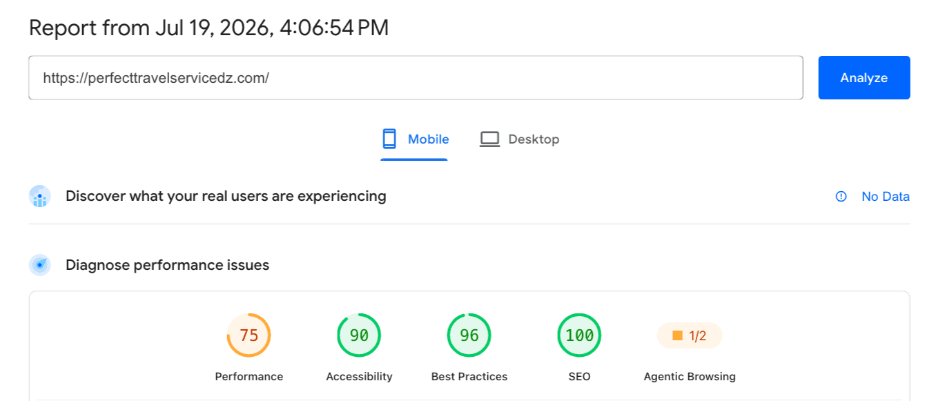 Google PageSpeed Insights report for perfecttravelservicedz.com (mobile): strong SEO (100) and best practices, with room to grow on speed.